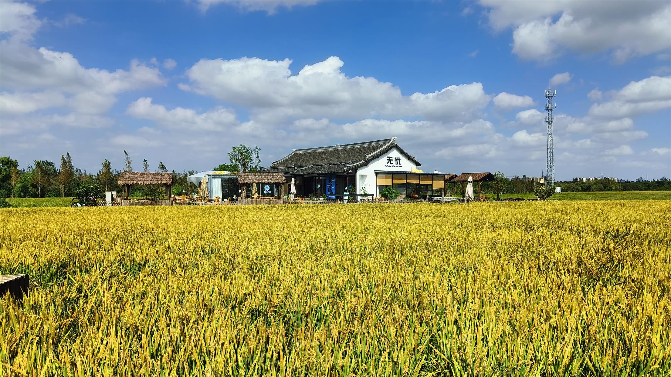 Featured image of post 我的2024