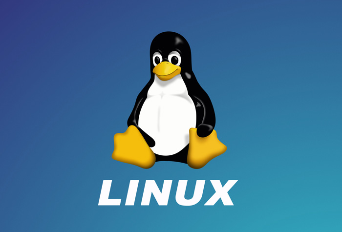 Featured image of post linux