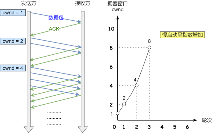 计算机网络