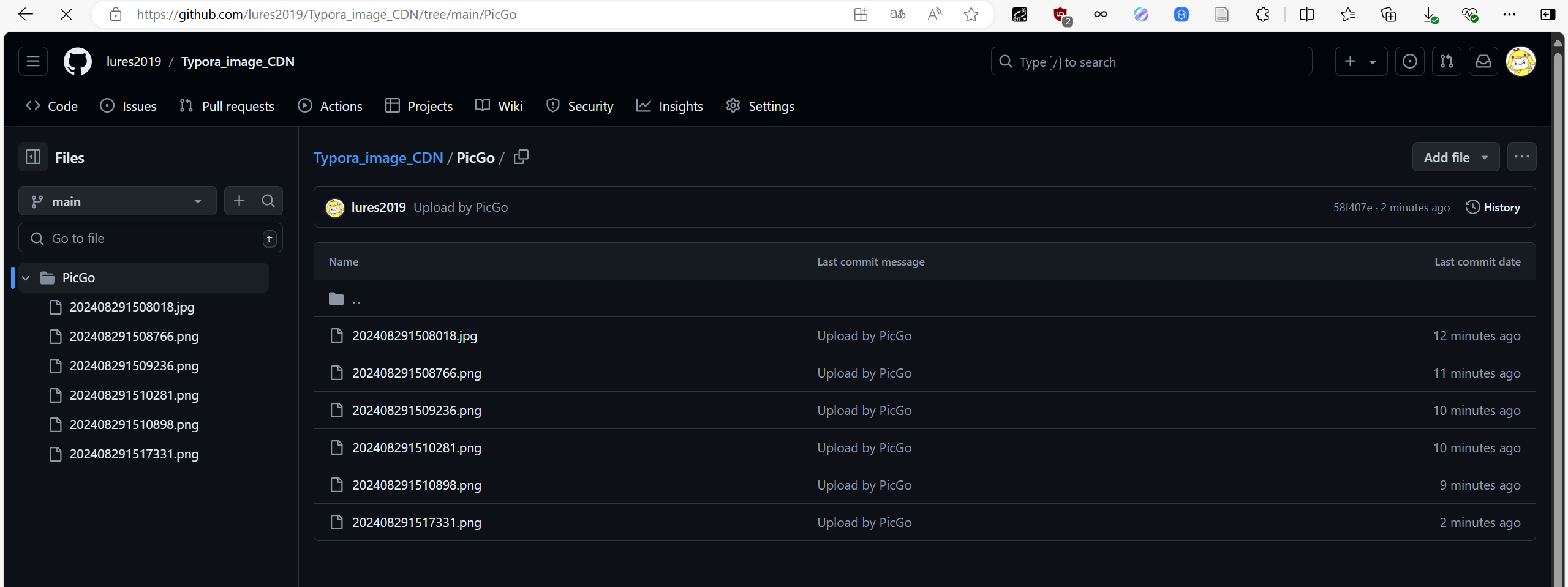 image-20240829152023096