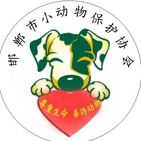 邯郸市小动物保护协会17713029889