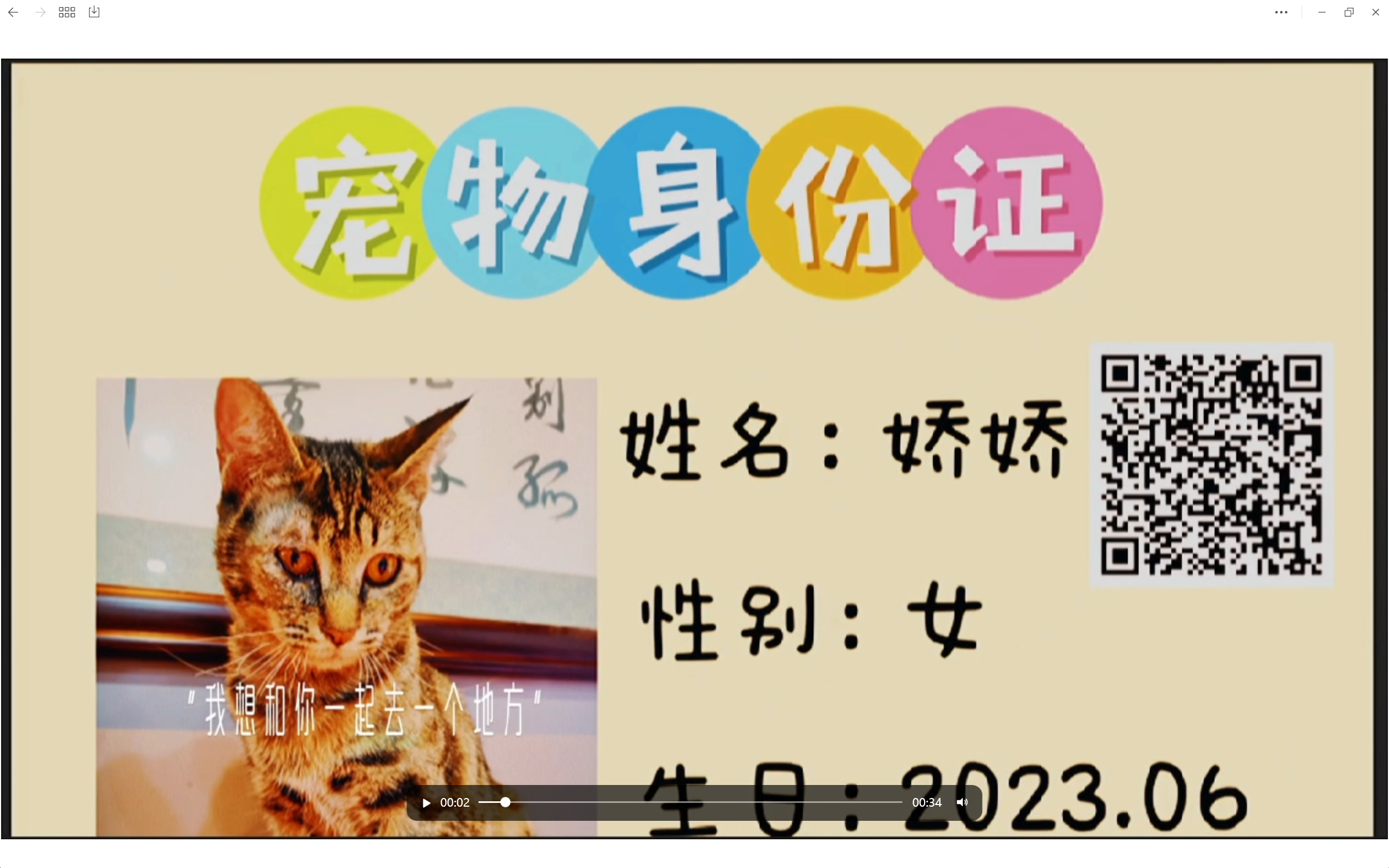 视频截图