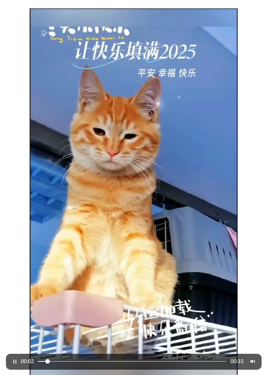 视频截图