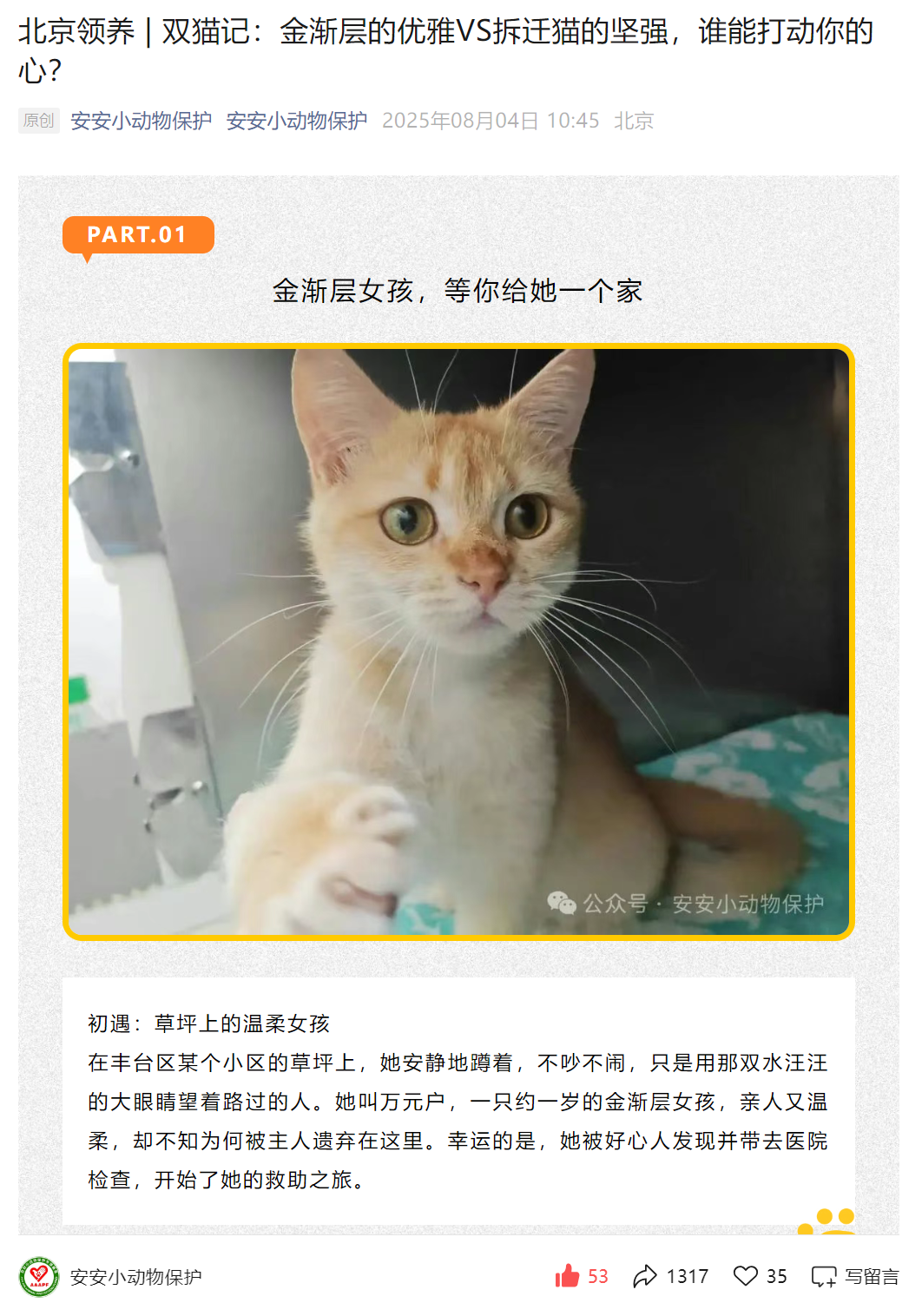 文章截图