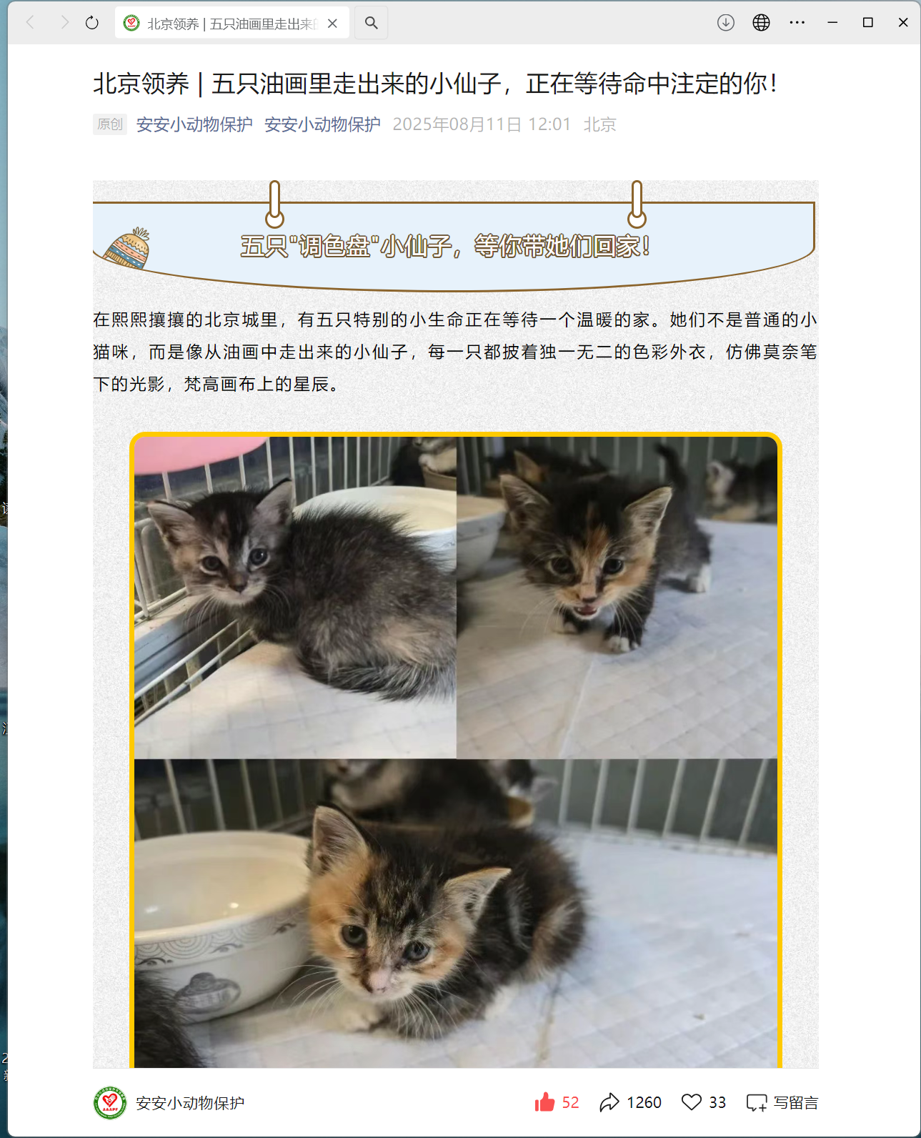 文章截图