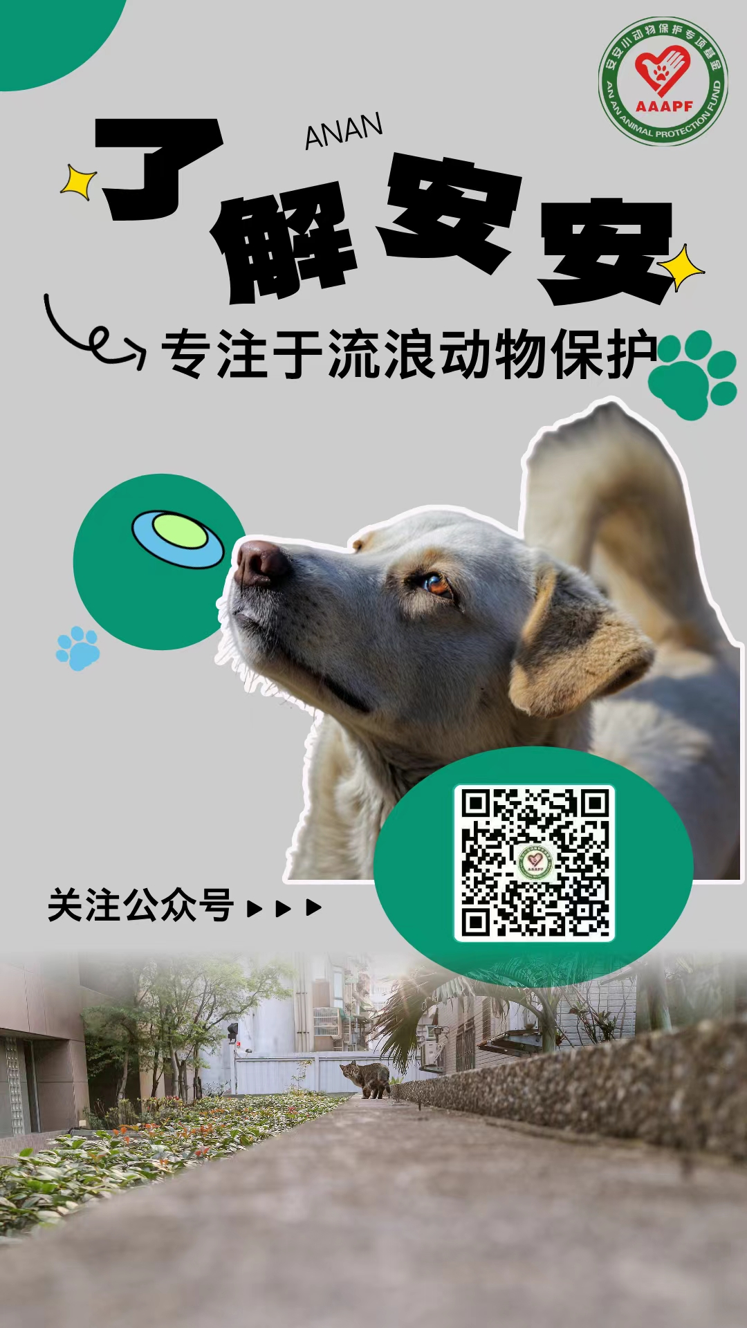 Blog152