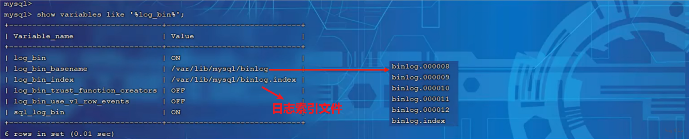 image-20240805171447473