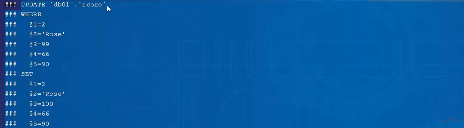 image-20240805174014623