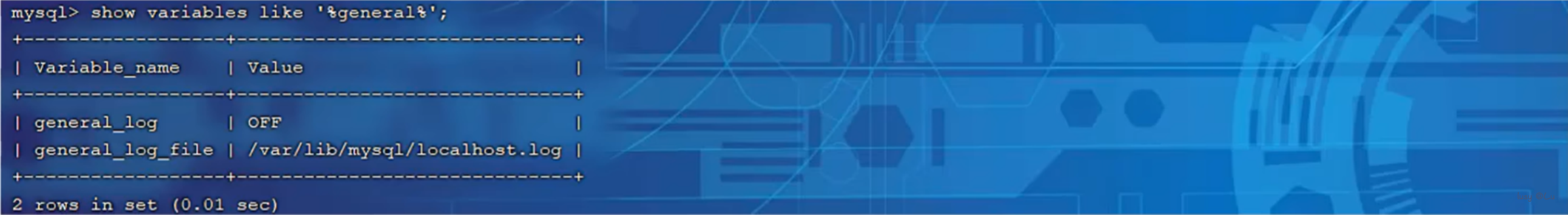 image-20240805181121871