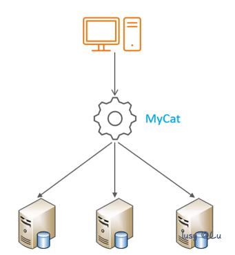 image-20240807194522163