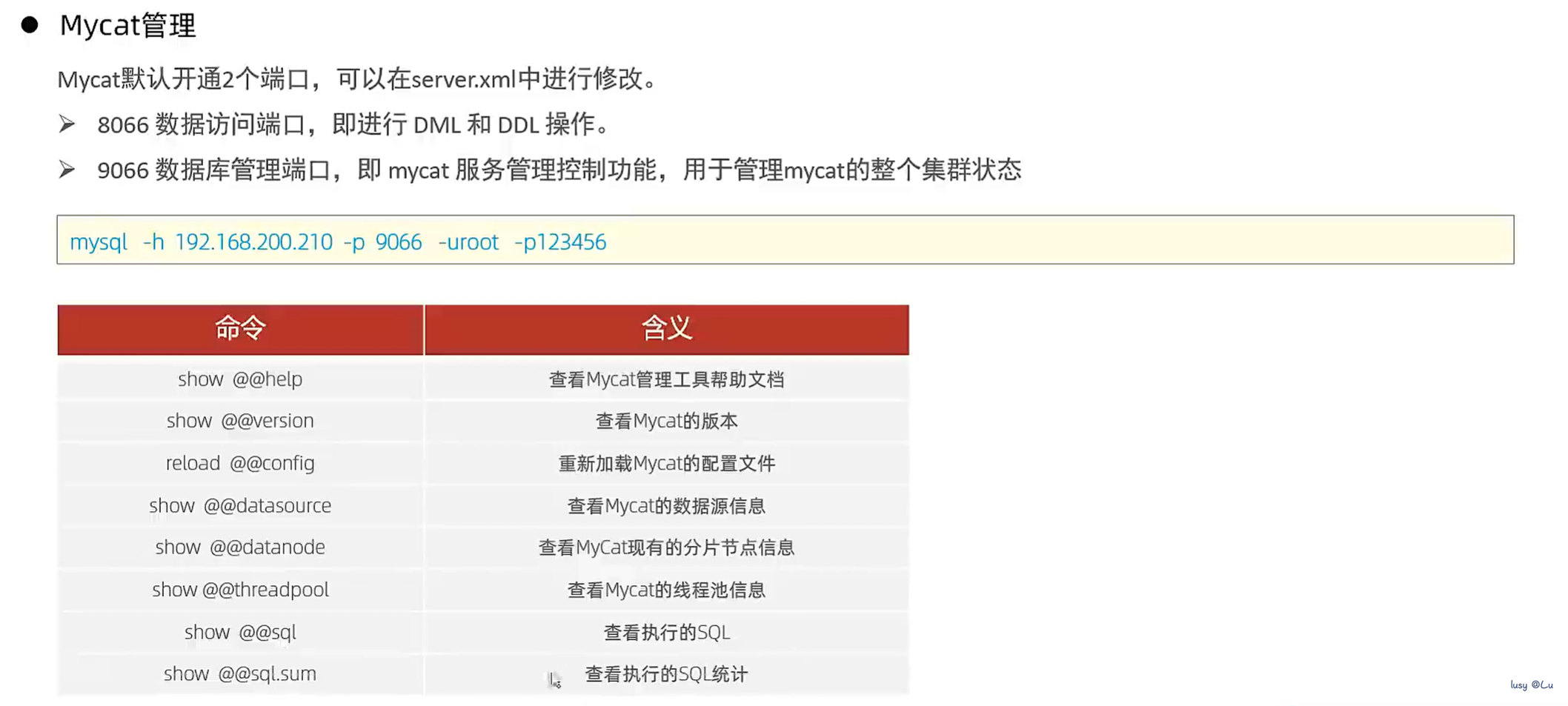 image-20240808101217635