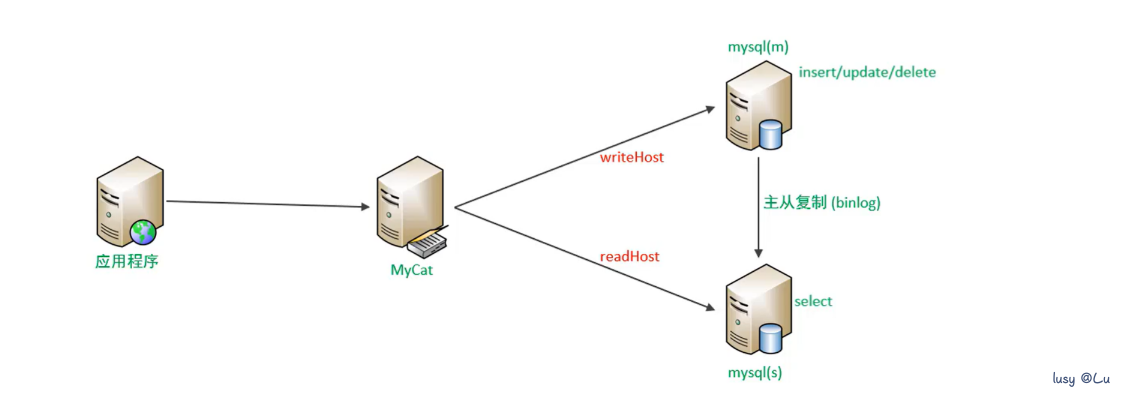 image-20240808111616641