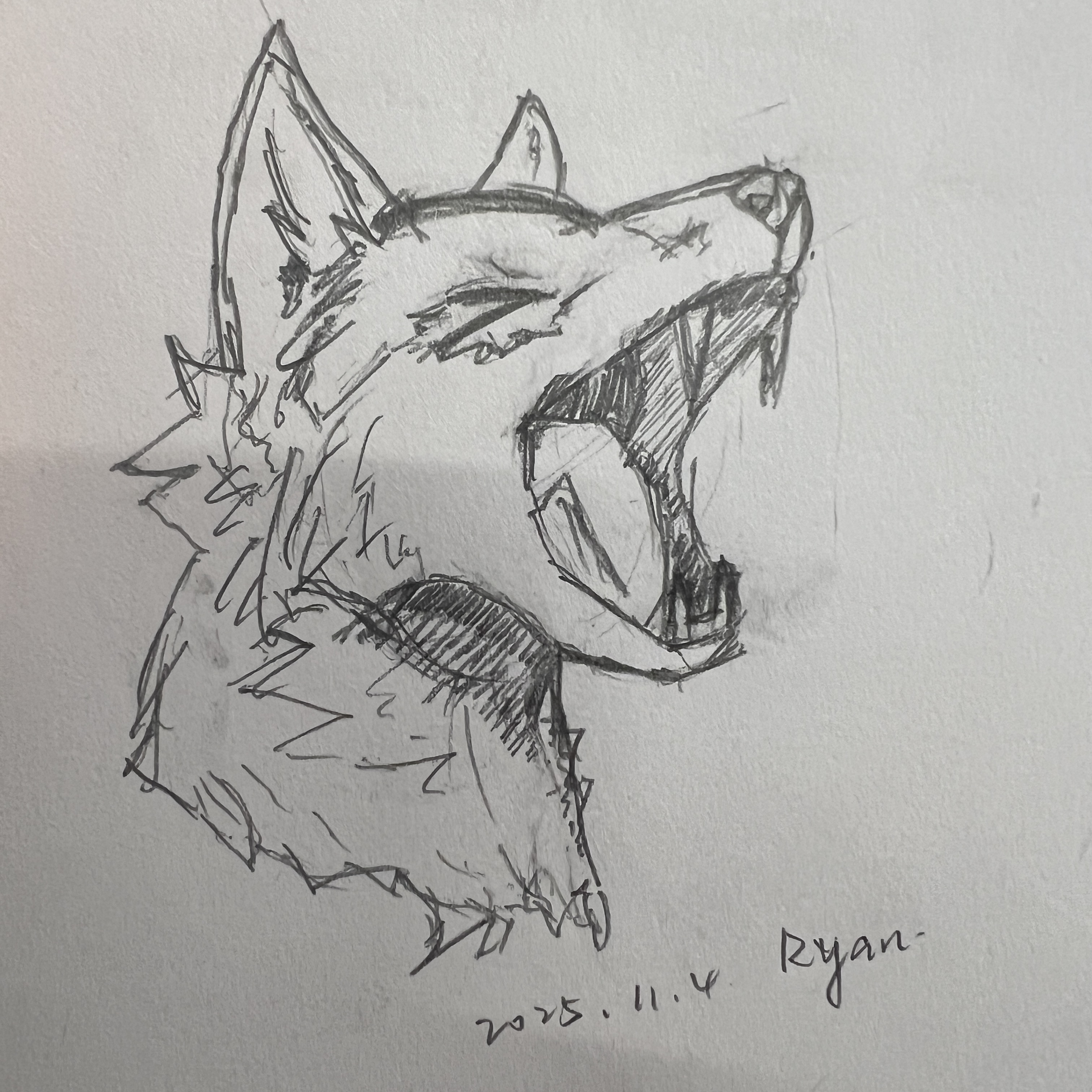 临摹习作（嗷呜呜，好累）