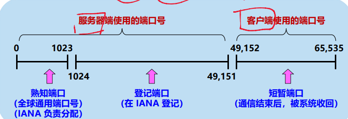 image-20240623212839358
