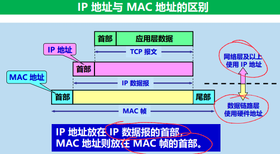 image-20240623162629259