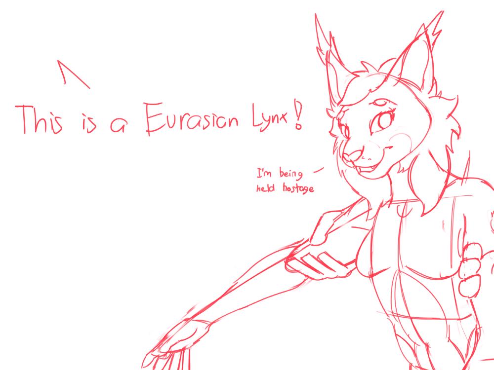 Featured image of post Layla sketches