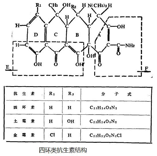 抉择-1.4_四环类抗生素结构.jpg