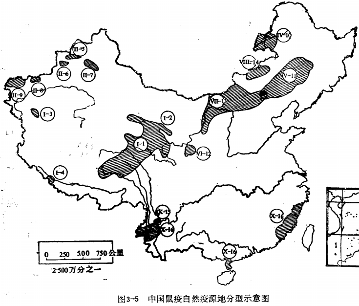 抉择-28.1_中国鼠疫自然疫源地分型示意图.png