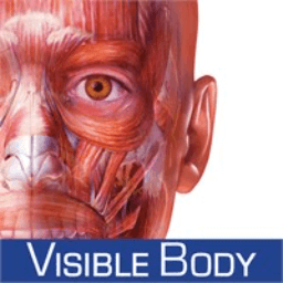Visible Body Muscle Premium