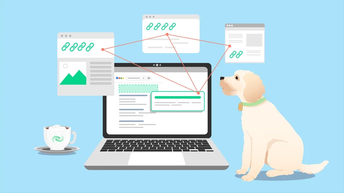 PBN مخفف چیست : توصیه هایی در ارتباط با PBN