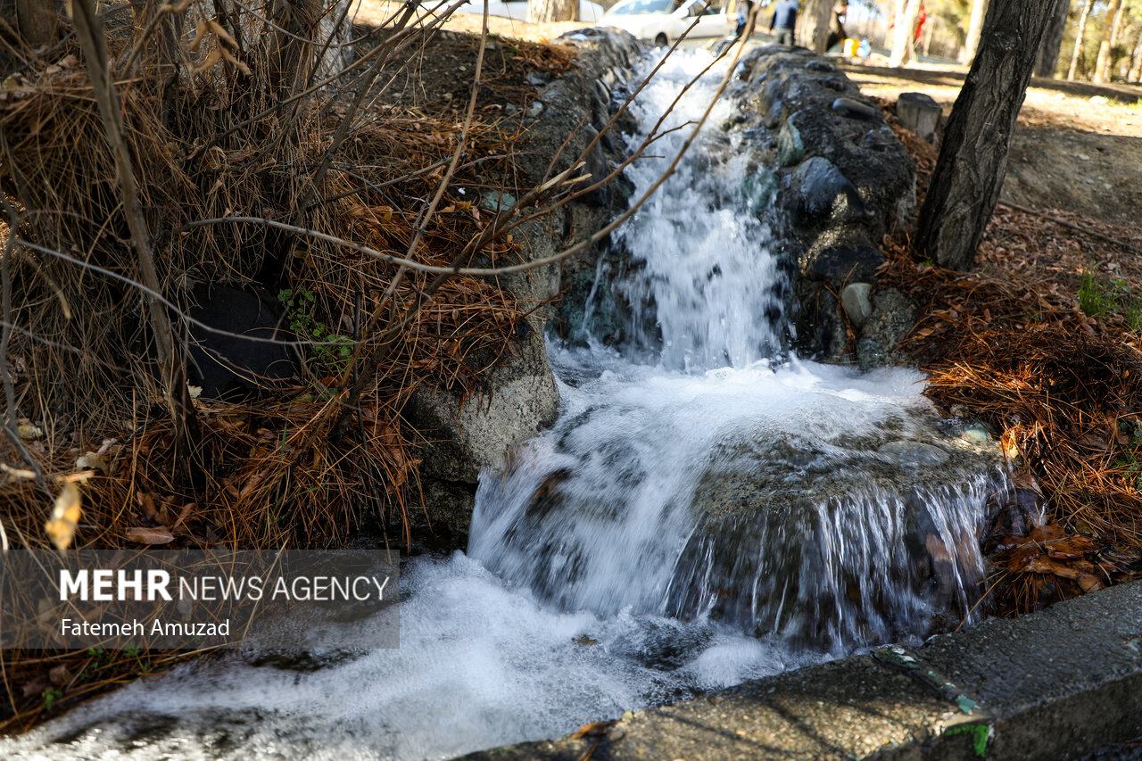 ۴۱ تفرجگاه جنگلی مازندران میزبان مسافران است