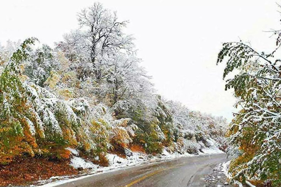 سفر به شمال ایران در زمستان: از پیست‌های اسکی تا جاذبه‌های زمستانی