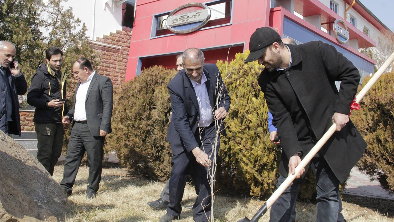 آمیکو، چند نهال در ارس و تهران کاشت؟