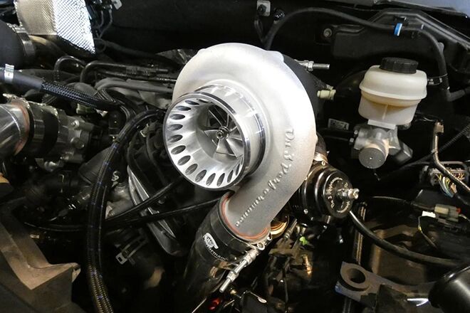 گزینه‌های اختصاصی برای پرخوران