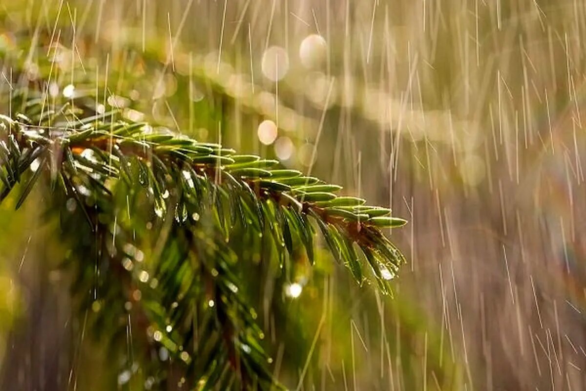 سامانه ناپایدار جوی از امروز وارد استان ایلام شد