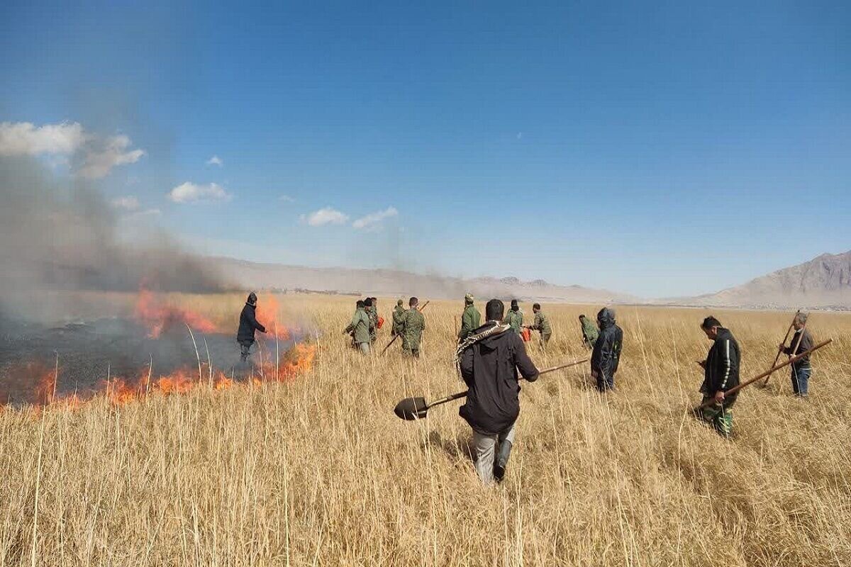 آتش‌سوزی نیزارهای حاشیه پارک ملی دریاچه ارومیه مهار شد