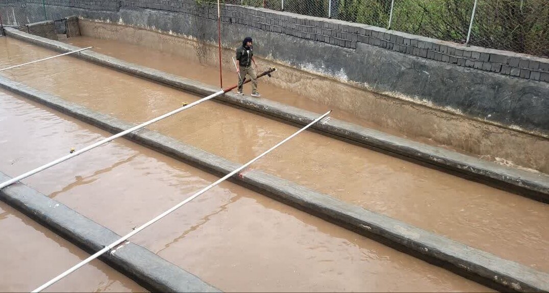 افزایش تولید ماهی تیلاپیا کشور تا ۶۰ هزار تن در دستور کار است