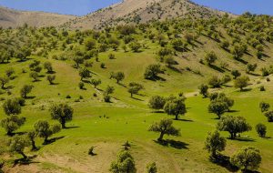 بخشی از طبیعت زیبای چهارفصل استان ایلام