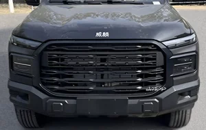 پیکاپ دیزلی چری در یک قدمی بازار قرار دارد