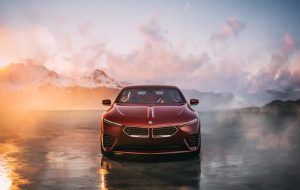 «اسپیدتاپ»؛ گوژپشت زیبای باواریایی