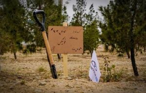 رویشگاه فونیکس با مشارکت مردم احداث شد