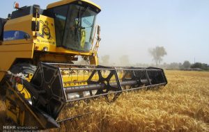 آمادگی کامل کرمانشاه برای آغاز بزرگ‌ترین عملیات خرید تضمینی گندم