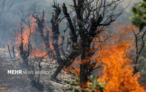 سهل‌انگاری مسافران آتش به جان جنگل گلستان انداخت+ فیلم
