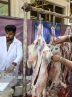آغاز پویش نذر قربانی در خوزستان همزمان با عید قربان