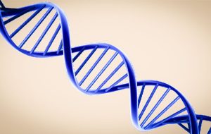 هوش مصنوعی گوگل دی ان ای را می‌خواند