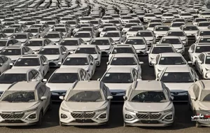 عاملان دپوی خودرو در گمرک