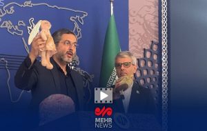 روایت آخرین بازمانده خانواده شهید صابر در نشست خبری وزارت خارجه