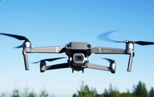 ۸۹ ریزپرنده در شهرستان گناوه کشف شد