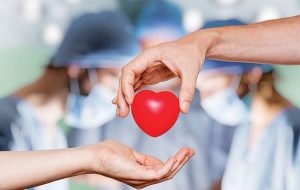 مادر تنگستانی ناجی بیمار نیازمند به پیوند عضو شد