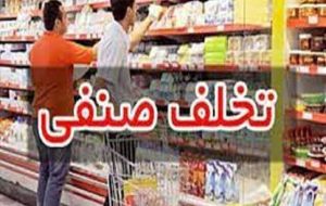 ۲۲ میلیارد ریال جریمه برای متخلفان صنفی و غیرصنفی در کردستان