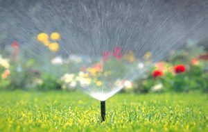 استفاده از ۵۶.۵ میلیون متر مکعب پساب برای آبیاری فضای سبز شهری