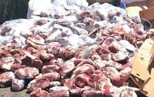 ضبط و معدوم سازی ۴۰۰ کیلوگرم فرآورده خام دامی غیرقابل مصرف در گچساران