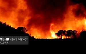 وجود نئوپان، عامل گسترش سریع آتش در کارخانه قلعه‌میر