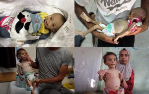 شهادت یک نوزاد فلسطینی و مرگ تدریجی نوزادی دیگر در غزه+ تصاویر