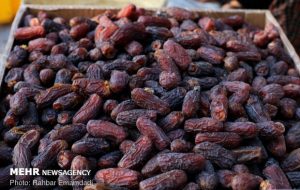 رونق خوبی برای خرمای استان بوشهر ایجاد شده است