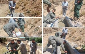 توزیع ۱۶۰ گالن ضدعفونی‌کننده برای پیشگیری از بیماری در حیات وحش تهران